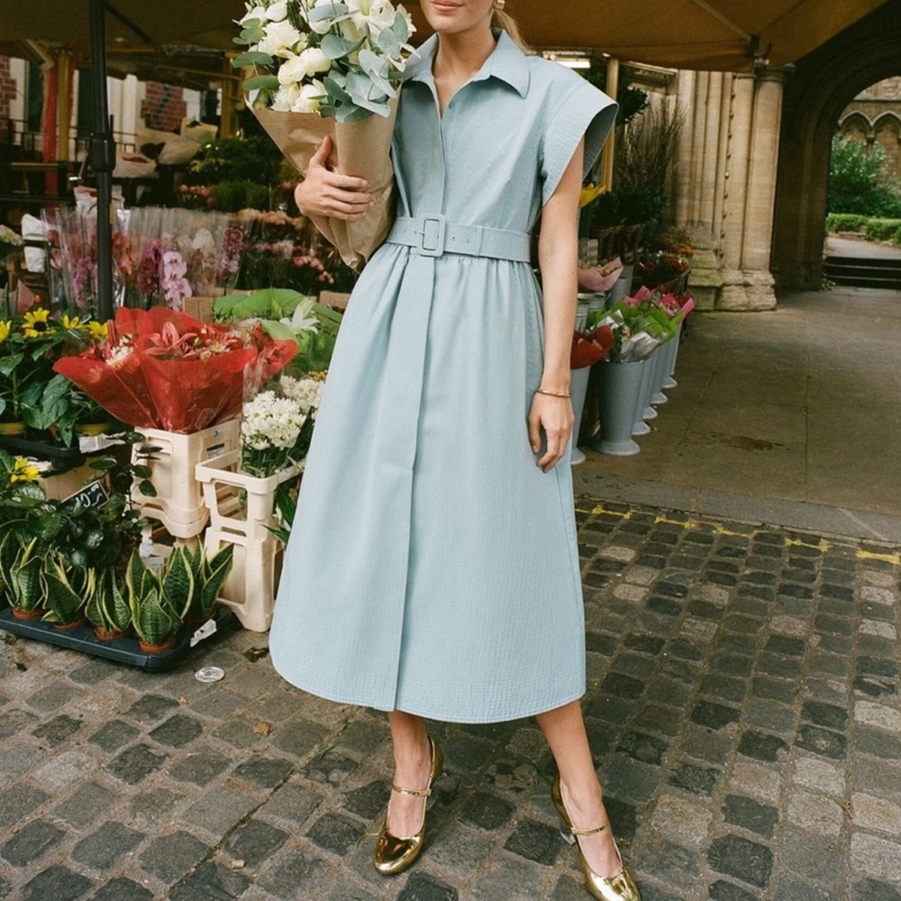 NWT - Tuckernuck Blue Chloe Dress - Blue